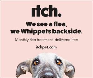 Itch Pet ad image