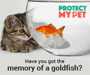 Protect My Pet Ad image